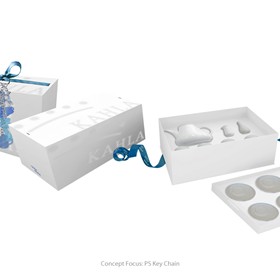 Packaging Designs: product packaging